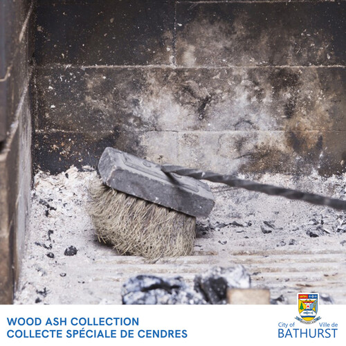 Wood ash collection - April 2024