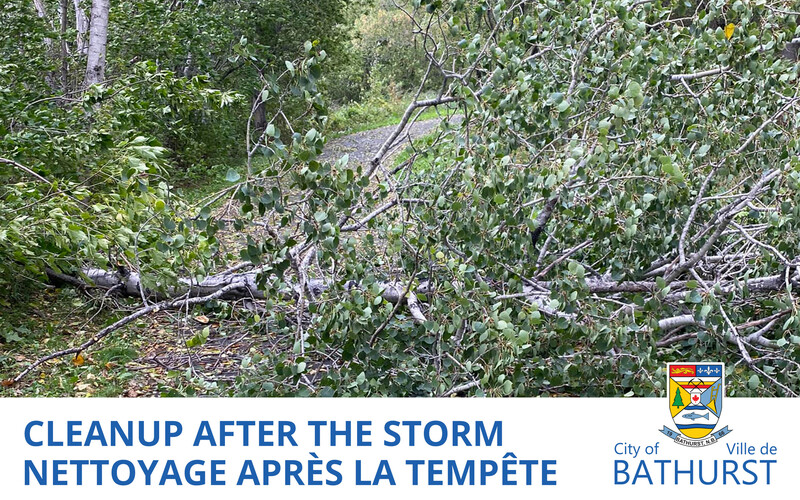 Nettoyage après la tempête post-tropicale Fiona