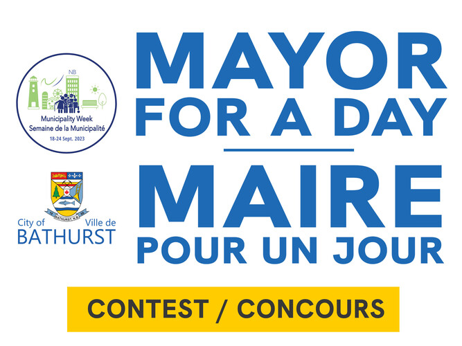 Mayor for a day (Contest)