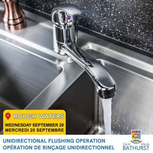 UNIDIRECTIONAL FLUSHING OPERATION - ROUGH WATERS AREA