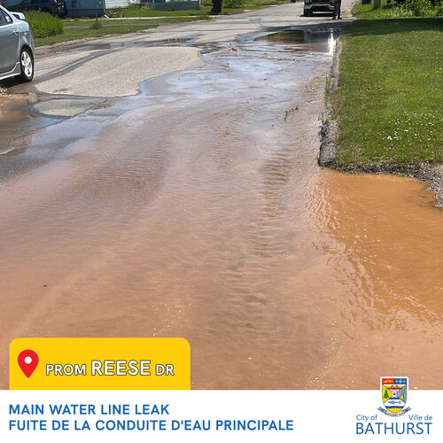 Water main leak repair - Reese Drive