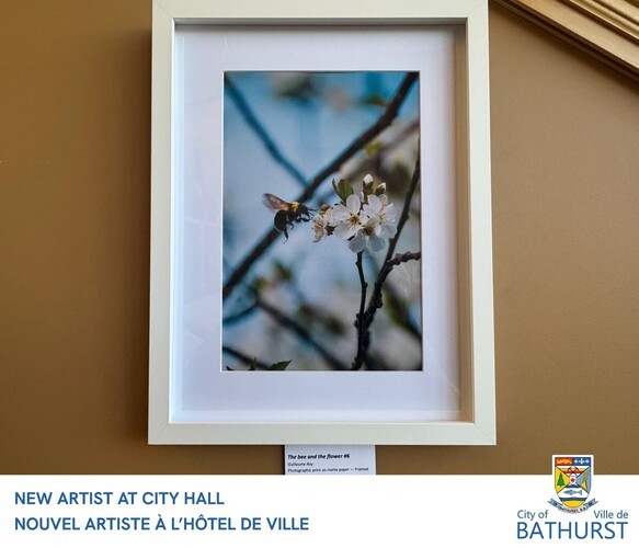 City Hall Art Exhibit — Guillaume Roy