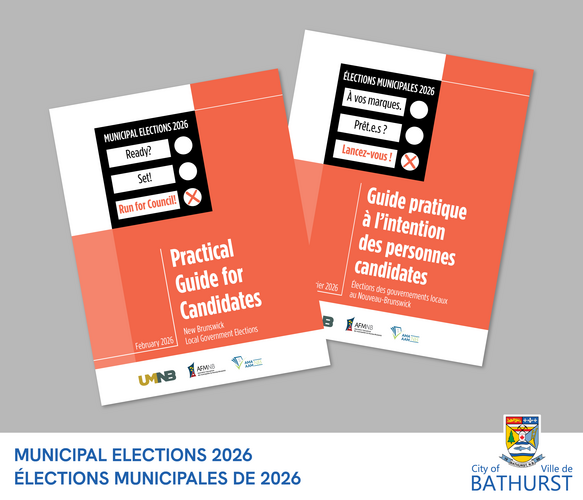 Thinking about running for Bathurst City Council?