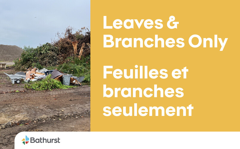 Reminder: Leaves and Branches Drop-Off Site
