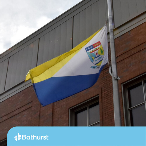 Flags at half-mast