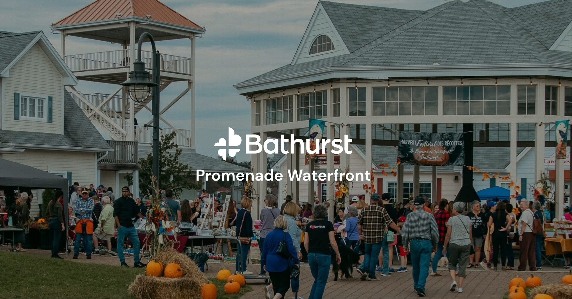 Harvest Fest Image